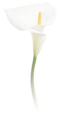 お約束1　高度な医療技術