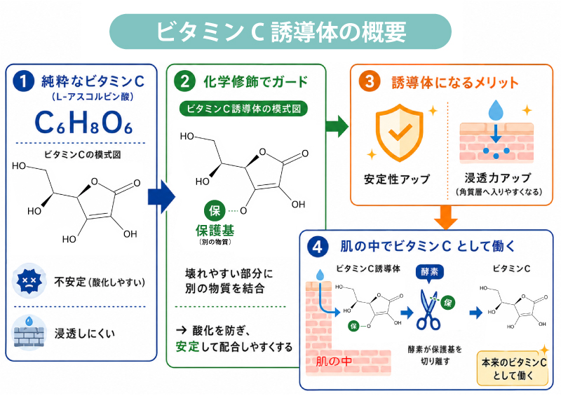 ビタミンC誘導体の解説図
