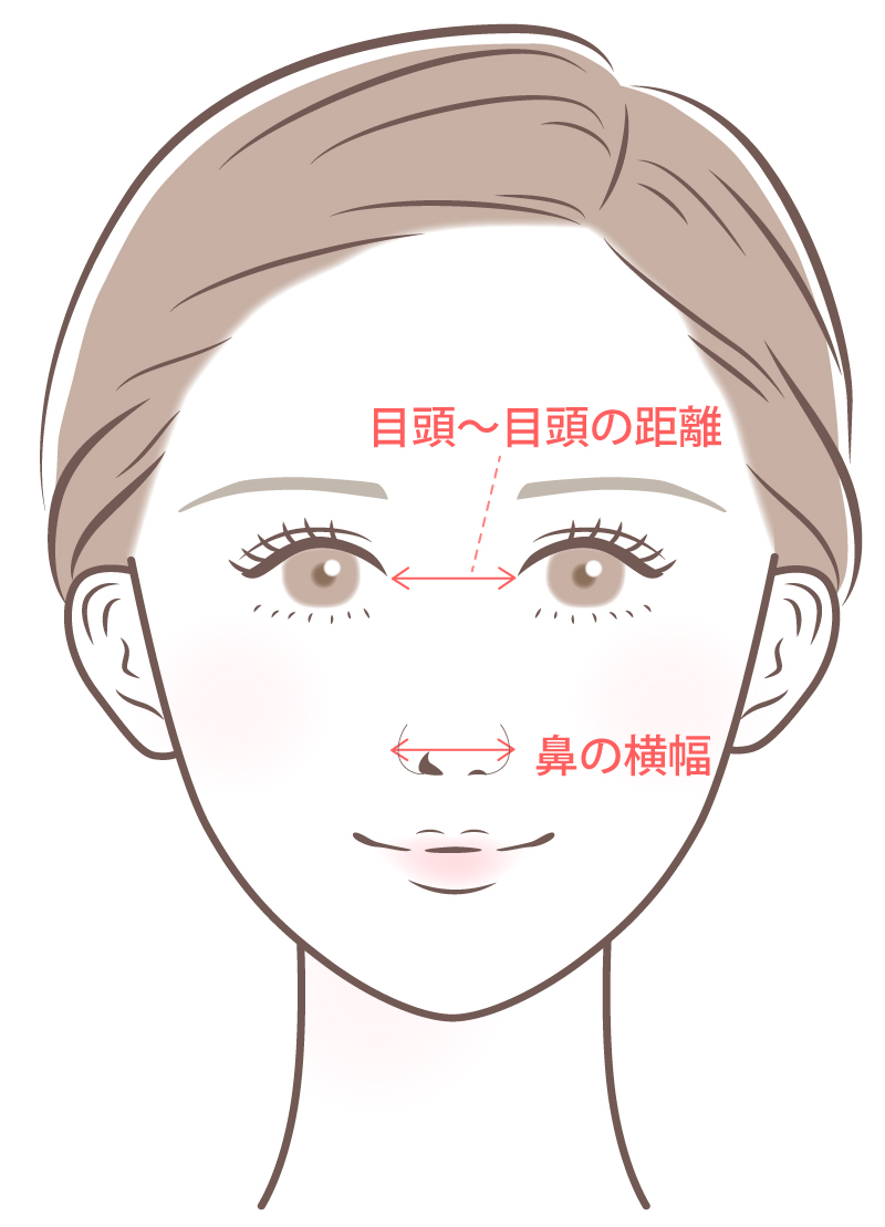 鼻の横幅 ≒ 目頭〜目頭の距離