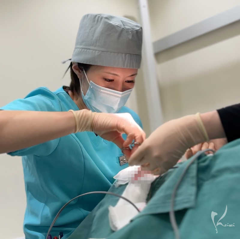 上尾Dr施術中写真