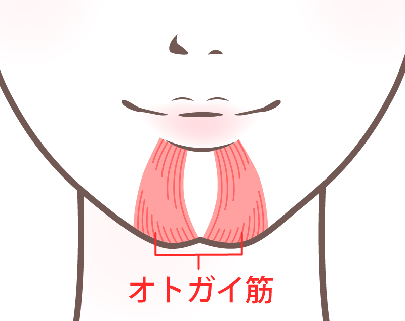 オトガイ筋イメージ