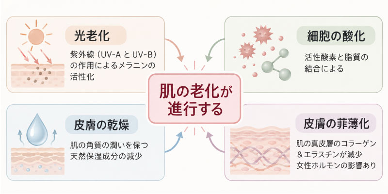 シミになる原因を解説している図