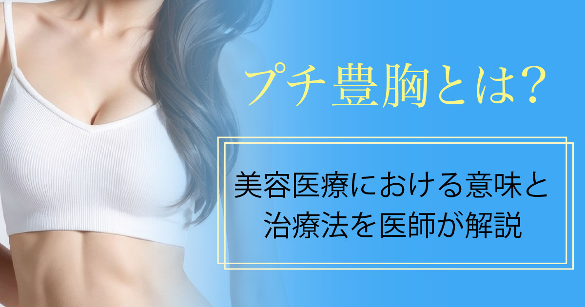 プチ豊胸について医師が解説するイメージ