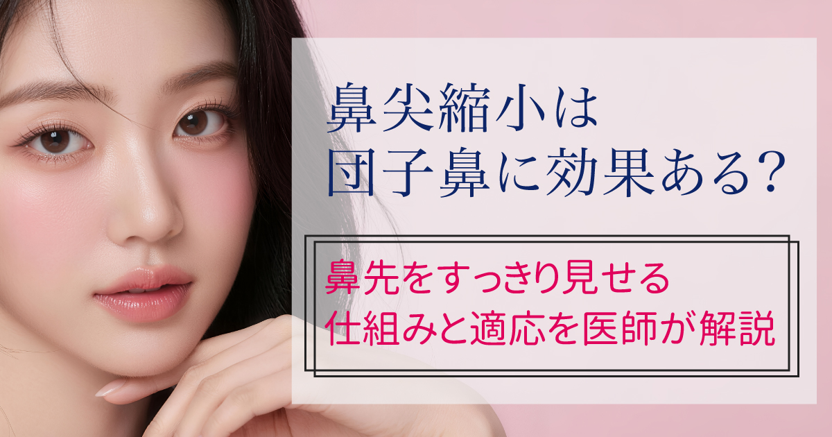 鼻尖縮小で団子鼻をすっきり整える仕組みを解説するイメージ