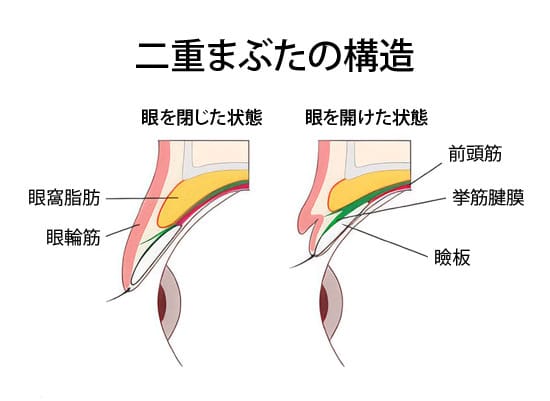 二重の構造を説明するイメージ