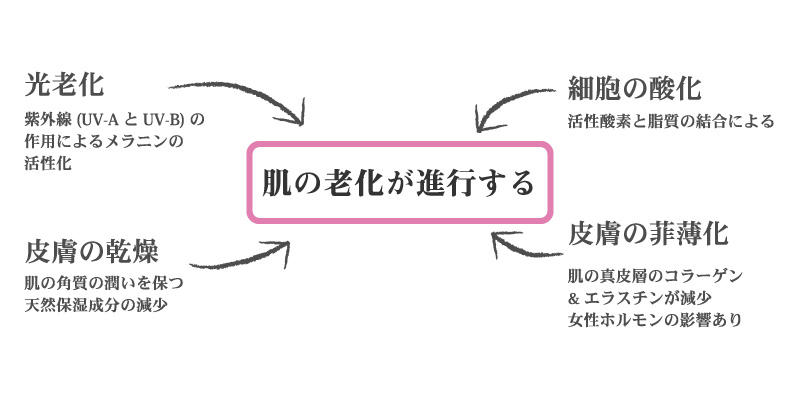 シミの原因イメージ