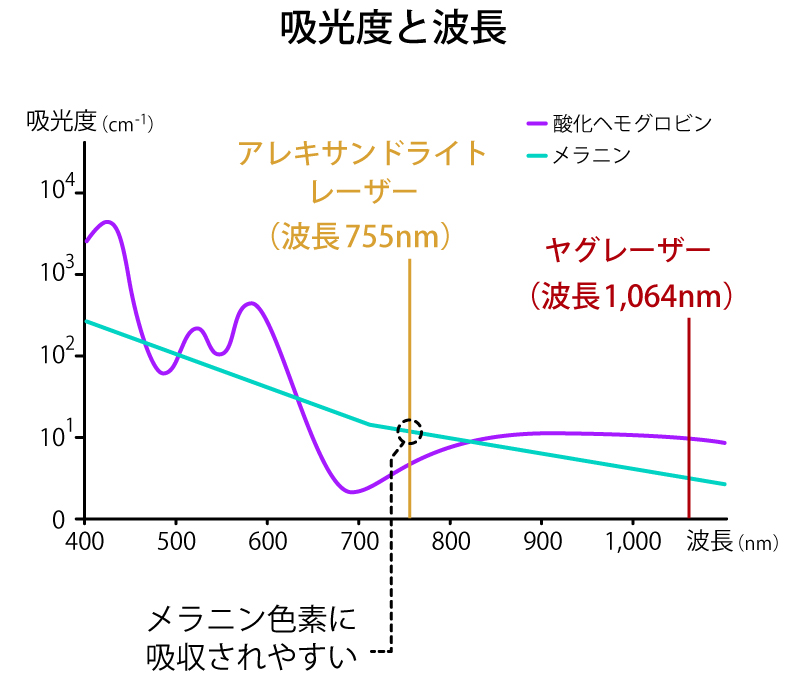 吸光度と波長　解説