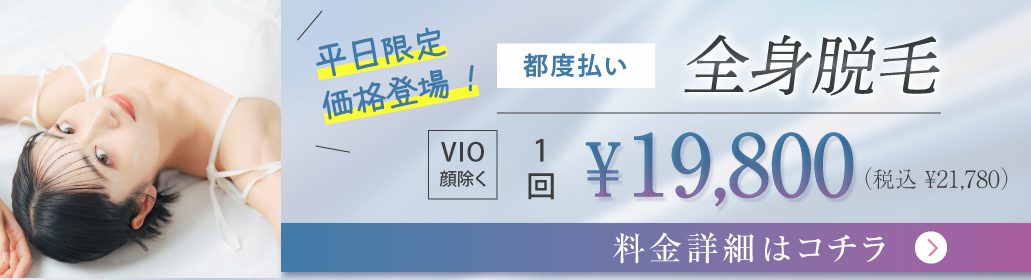 全身脱毛料金