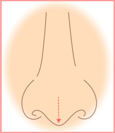 矢印鼻イラスト