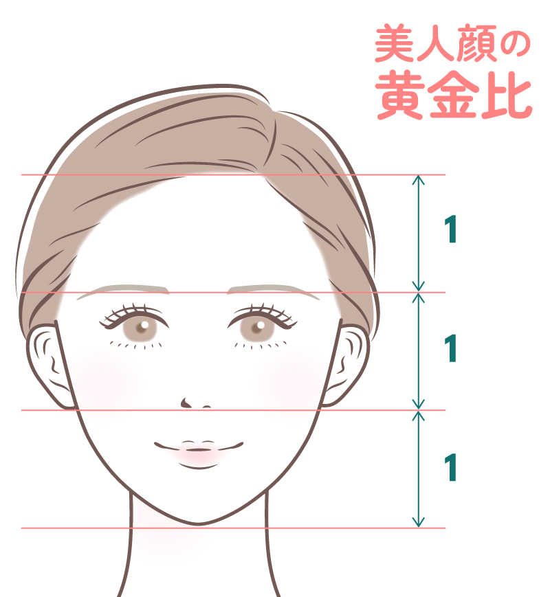 美人顔の黄金比