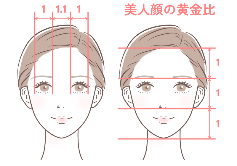 美人顔の黄金比