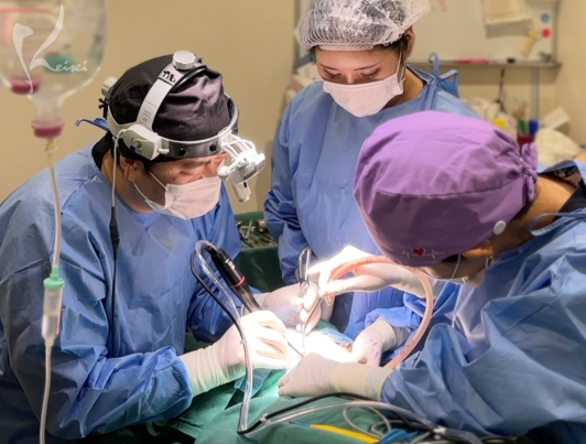 田川医師 施術風景-02